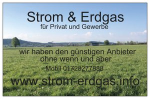 Strom-Erdgas